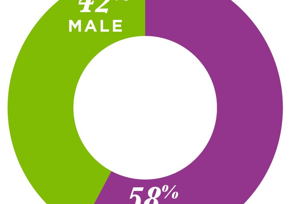 Dual Enrollment By Gender